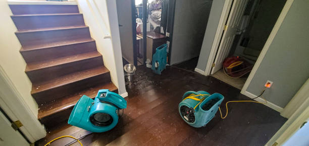 Reliable Sterling, AK Water damage restoration Solutions