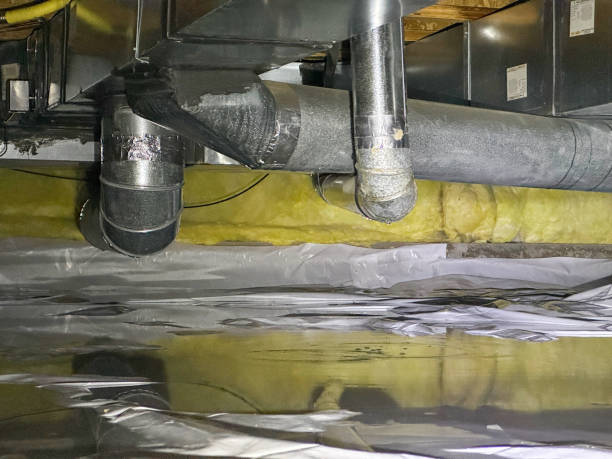Best Sewage cleanup and water damage restoration  in Sterling, AK