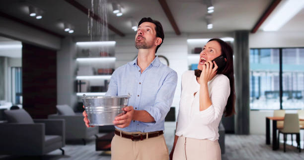 Best Water damage cleanup near me  in Sterling, AK